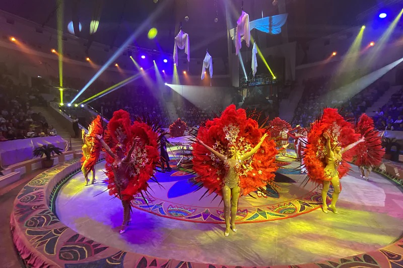 Акция «Цирк первоклассникам» стартовала в Тульском цирке