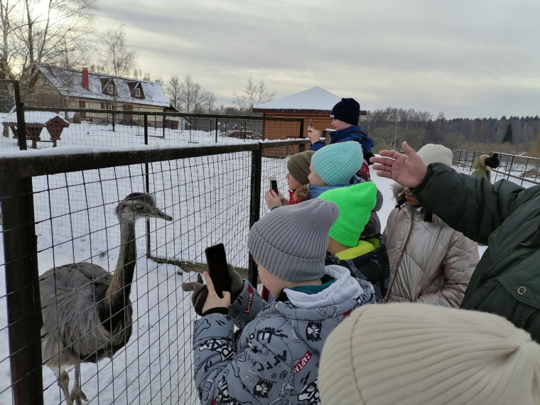 2 декабря 2022 года обучающиеся 5-б класса ездили в парк птиц Воробьи Калужской области..